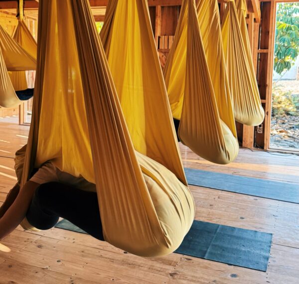 Aerial Yoga Reset